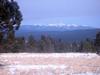 Panoramic Views of Wheeler Peak